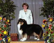 lochlarencollies.com Charvell