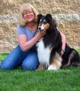 lochlarencollies.com Charvell