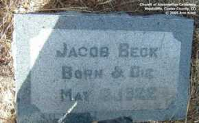 usgwarchives.net Chatharina