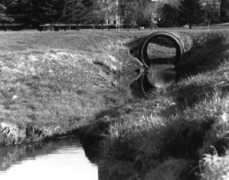 digizine.com Chattoraj