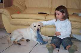 naissant33.free.fr Chautant