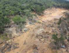 Chaveco
