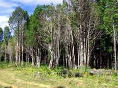 patagonia-immobilien.com Chavelita