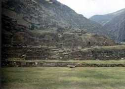 ancientstandard.com Chavin