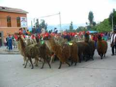 panoramio.com Chavina
