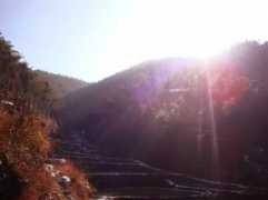 chaxi.com Chaxi