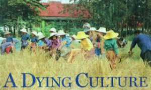 asiarice.org Chayanit