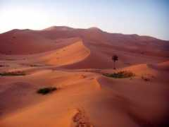 Chebbi