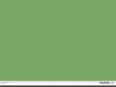 colourlovers.com Cheddah