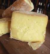 Cheddar