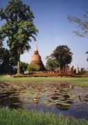 magiedubouddha.com Cheddi