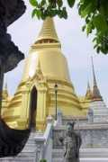 Chedi
