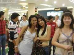 cheeserland.com Cheemeng