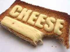 Cheese