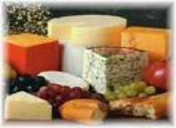 Cheese
