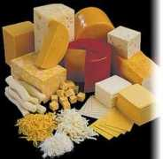 Cheese