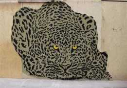 Cheeta