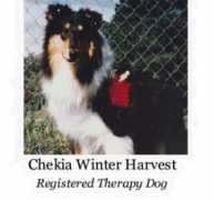 Chekia