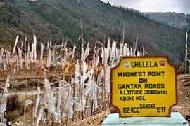 Chelela