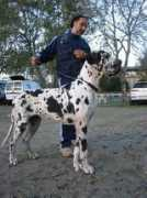 dellapollodeitempli.it Cheline