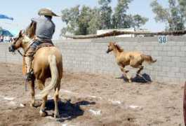 Chencho