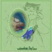 scrapbookflair.com Chender