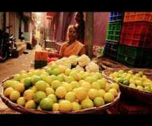 ecosalon.com Chengalpattu