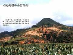 trilobites.info Chengjiang