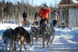 realadventures.com Chenil