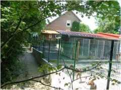 fusillier.free.fr Chenila