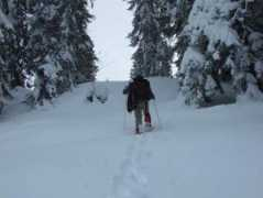 dpeck.info Chenit