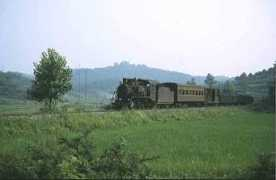 sy-country.co.uk Chenjia