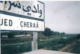 oujdacity.net Cheraa