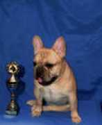frbull.narod.ru Cheroki