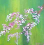 Cherryblossom