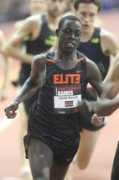 Cheserek