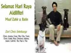themalaysianinsider.com Chetz