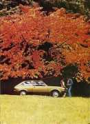 Chevette