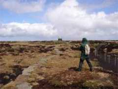 Cheviot