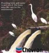 Chevrot