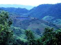Chiangrai