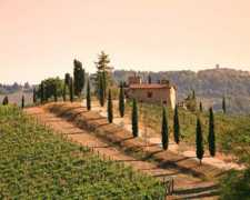 destination360.com Chianti