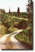 umbria.villa-vacations.com Chiarell
