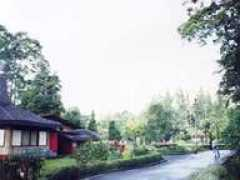 tanto.sunnyday.jp Chiater