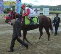 hipismo.net Chicalinda