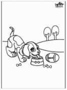 Chien