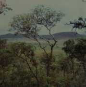 panoramio.com Chikanga