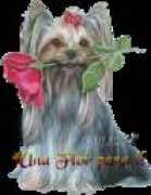 Chikilin