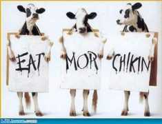 Chikin