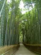 Chikurin